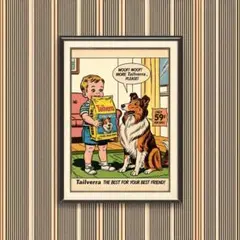 A4ポスター『Tailverra』限定1点 コリー犬 ドッグフード 子供