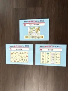 新品・未使用 【ピンポン！ワーク】 年長 ＜5月〜10月＞ 理英会 ①と②セット 2025年最新】理英会の人気アイテム - メルカリ