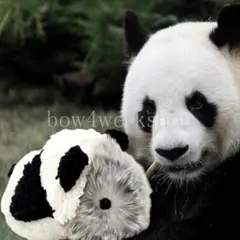 hanakichi***mama****様 リクエスト 2点 まとめ商品