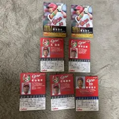 広島東洋カープ プロ野球チップスカード2017