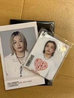 Item thumbnail for item 1bc19ee2-73d1-4693-a2d4-48784e4b4f53