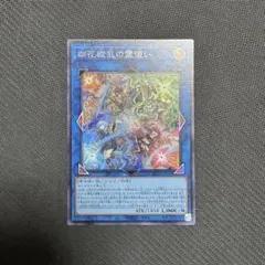 遊戯王 四花繚乱の霊使い シークレット - メルカリ