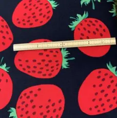 Item thumbnail for item ba467cab-49ee-4e9c-adda-5e0b7964d3a7