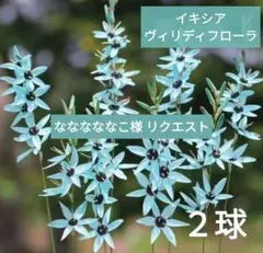 なななななこ様 リクエスト 2点 まとめ商品