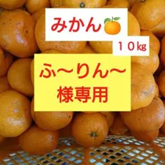 ふ~りん~様専用です