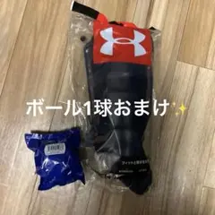 Item thumbnail for item d6be6e2b-fc7a-4284-bb5a-523afa6b5dc5