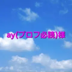 2026年最新】プロフ必読の人気アイテム - メルカリ