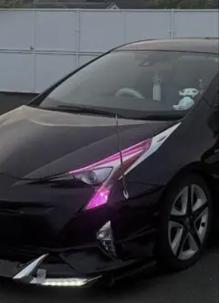 50プリウス ウインカーポジション ピンク 限定 大人気 50プリウス ウインカーポジション パープルピンク ワンオフ ポン