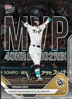 2026年最新】BBM 阪神タイガースベースボールカード 2025の人気