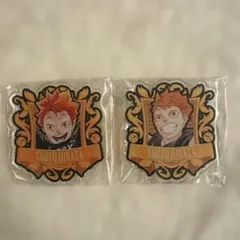 ハイキュー日向翔陽ピンバッジ2個セット