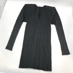 の*ん様 プリーツプリーズ イッセイミヤケ スキッパープルオーバー