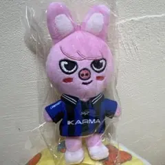 stray kids skzoo チャンビン　トェッキ　KARMA おまけ付き