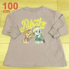 パウパトロール ロングトレーナー 100 スカイ エベレスト 女の子 長袖 薄紫