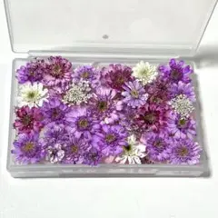 にゃこ様 リクエスト 3点 まとめ商品