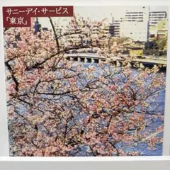 サニーデイ・サービス 東京 アナログ盤 LP レコード ピンク・カラー