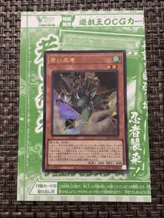 遊戯王OCGデュエルモンスターズ 若い忍者 Vジャンプ 9月特大号付録 プロモ