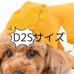 Item thumbnail for item 8b7ac63c-5da4-4515-8b29-0615c3160ef6