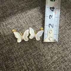 Item thumbnail for item c456b1bc-7855-4efe-b671-b96e6a61d486