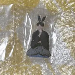 未開封、未使用】どこでもいっくんアクスタ 干支 卯年サカナクション