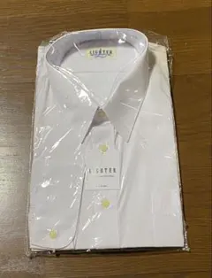 Item thumbnail for item 08e409bb-db06-4c83-aafe-e9209222a446