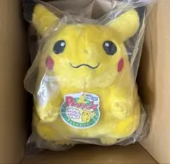 新品 ポケモン30周年記念 おかえり！ピカチュウ1/1 本体