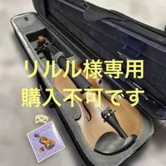 2026年最新】バイオリン4/4の人気アイテム - メルカリ