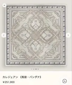 新品未使用 エルメス カレジェアン 《馬銜・バンダナ》 2026春夏