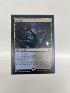 MTG 稀少 未開封 水のクリスタル プレリ FOIL - メルカリ