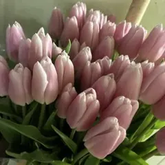 まつのり様 リクエスト 3点 まとめ商品