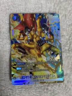 ✨フュージョンワールド ガンマ1号2号:SH SR パラレル FB09-051✨