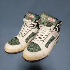 Item thumbnail for item d842a424-8956-4f41-9373-b1995b528a43