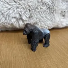 Item thumbnail for item 0d2f8465-84fe-4d9a-b4db-91d7624dfa5d