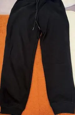 Item thumbnail for item d995b911-e2d9-45b4-81f0-5512d3168645