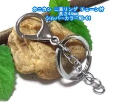 Item thumbnail for item b13b45dc-e78d-4dd4-9ae4-6878d49bebd5