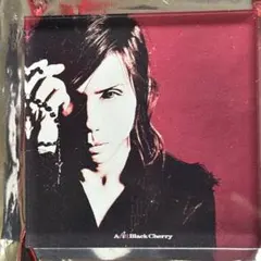 Acid Black Cherry ランダムアクリルマグネット 黒猫 - メルカリ