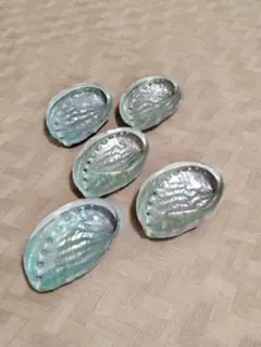 アワビ　貝殻　5枚セット　10ｃｍ前後✕６ｃｍ以上
