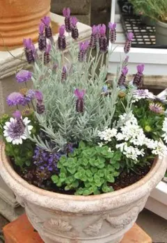 ふみふみ様 リクエスト 2点 まとめ商品