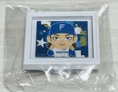 北海道日本ハムファイターズ 伊藤大海 ミニ額縁バッジ