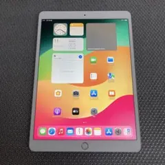 245【早い者勝ち】iPad Pro 256GB 10.5インチ WIFIモデル