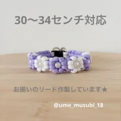30〜34センチ　パステルカラー花交互首輪