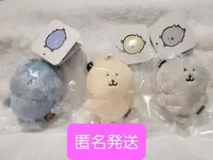 2026年最新】韓国 くま ぬいぐるみ ナガノの人気アイテム - メルカリ