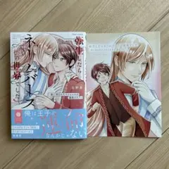転生したらネームバースの世界でした　アニメイト特典付き