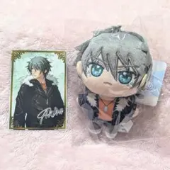 ニトロキラル展　キラメモ　アキラ　ぬいパル　特典