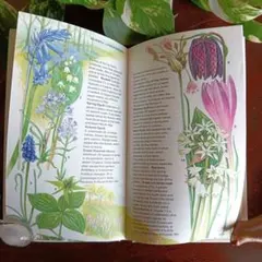 2026年最新】洋書 古書の人気アイテム - メルカリ