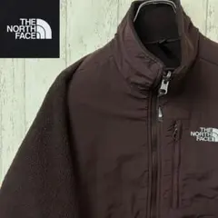 【激レア】THE NORTH FACEザノースフェイス　デナリジャケット　刺繍