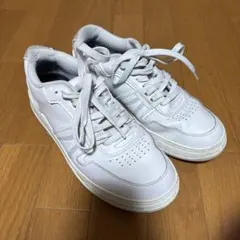 Item thumbnail for item 3b5e57e8-7f26-4cd9-ae1a-de97a2510e94