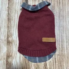 犬服 襟つきセーター