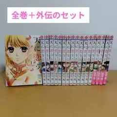 【透明クリアカバー付】天に恋う 全17巻＋外伝　望月桜　1-13巻レンタルアップ