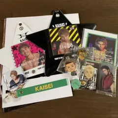 武知海青セット