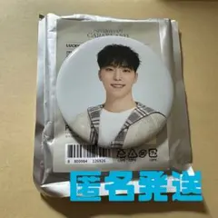 SEVENTEEN ケレン ラキドロ CARAT LAND 缶バッジ ディノ